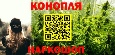 стафф Краснодар
