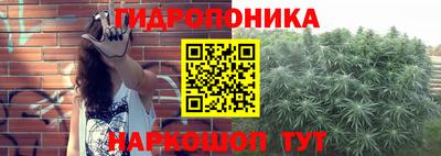 дмт Краснознаменск