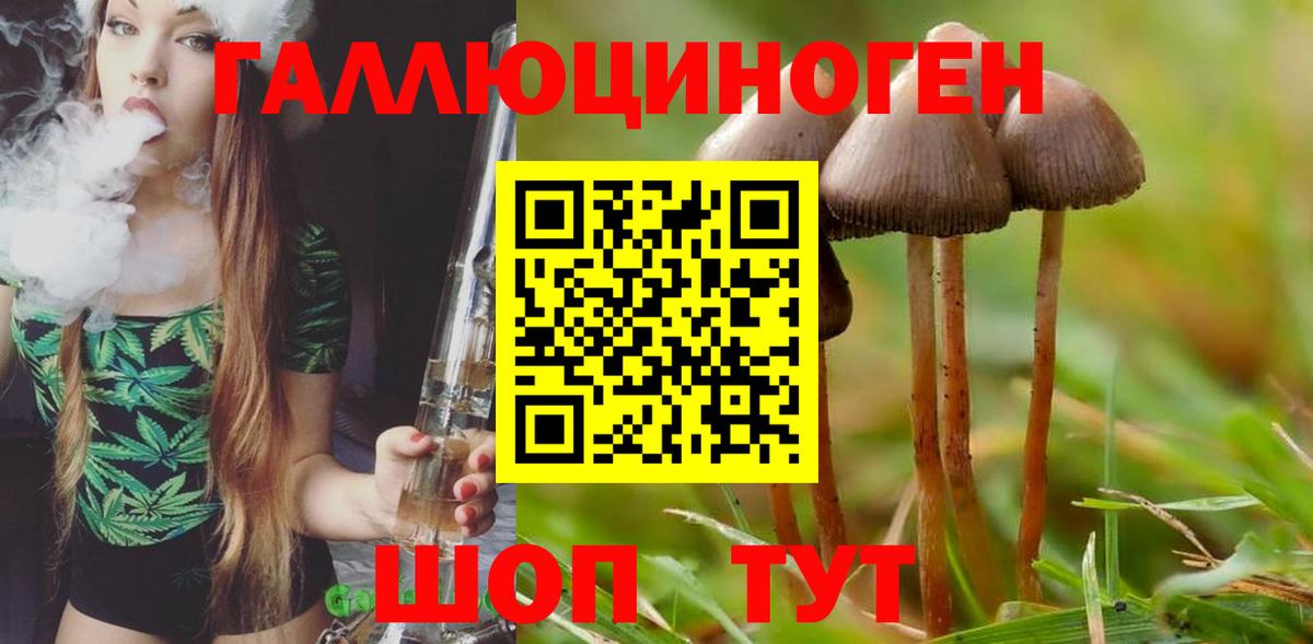Галлюциногенные грибы Psilocybe  Галлюциногенные грибы MAGIC MUSHROOMS  Димитровград  Вход с VPN 